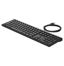 HP 320K Wired Desktop Keyboard Black HU