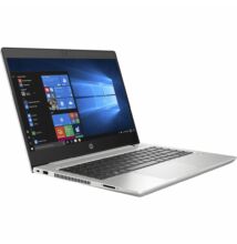 HP ProBook 455 G8 Silver