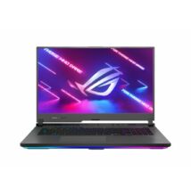Asus G713RM-KH087 Eclipse Gray