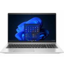 HP ProBook 455 G9 Silver